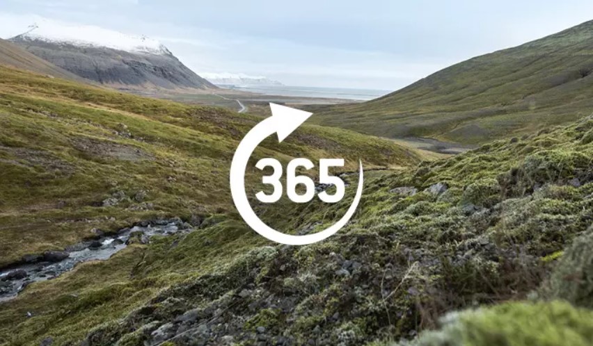 365.jpg